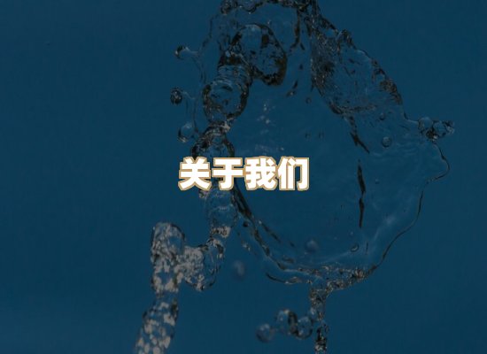 关于瑞达证服